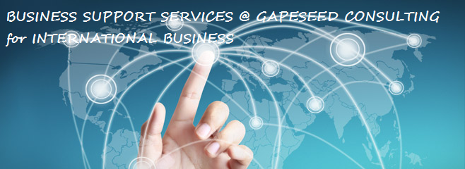 Business Support Services for International Businesses